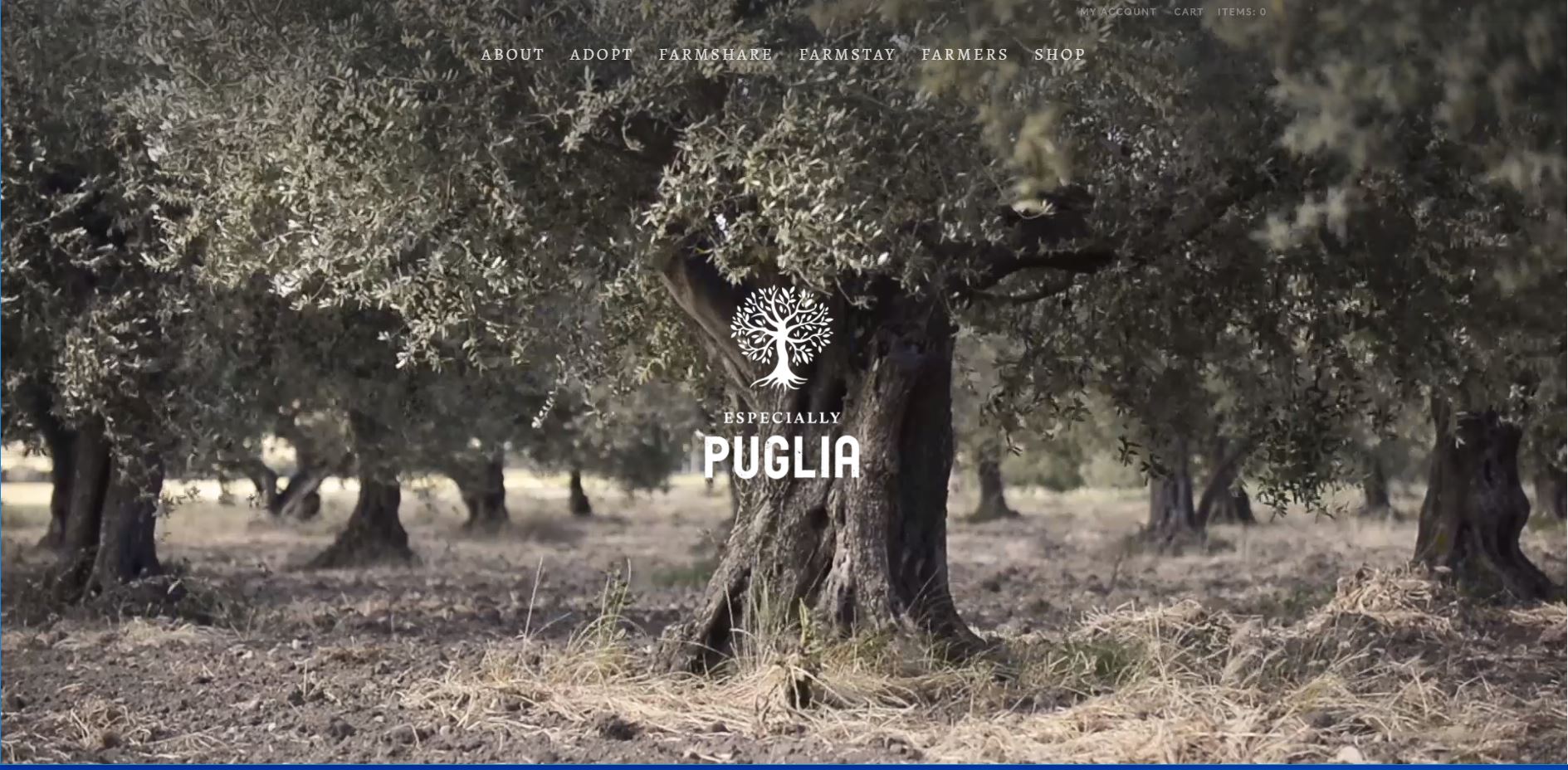 Especially Puglia Website